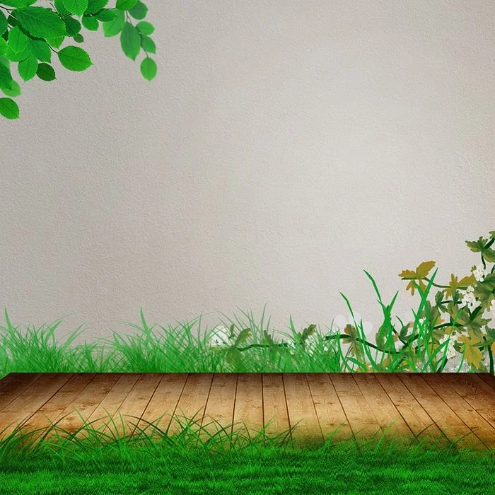Hình thiên nhiên sàn gỗ và thảm cỏ xanh dưới góc cây lá