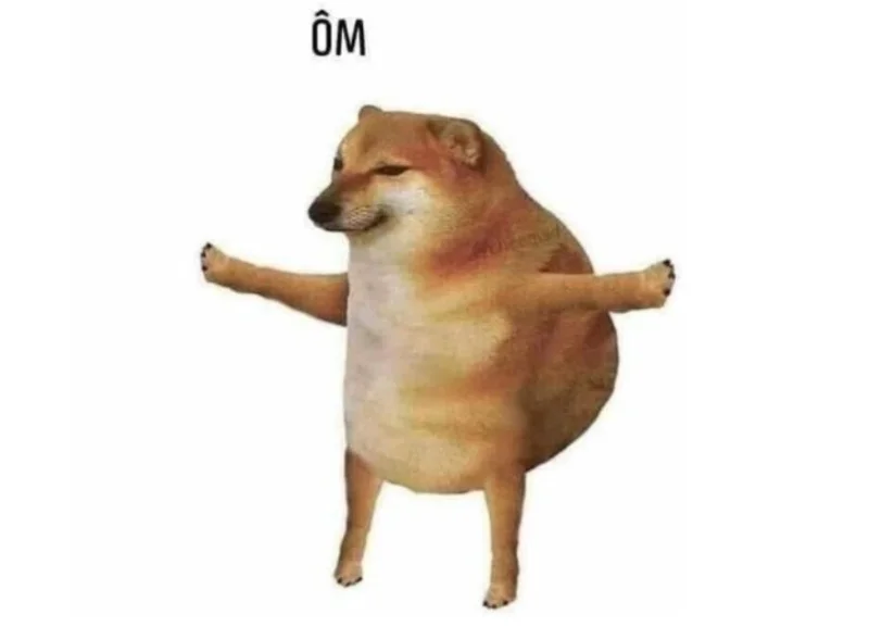 Meme con chó béo đang nhảy múa