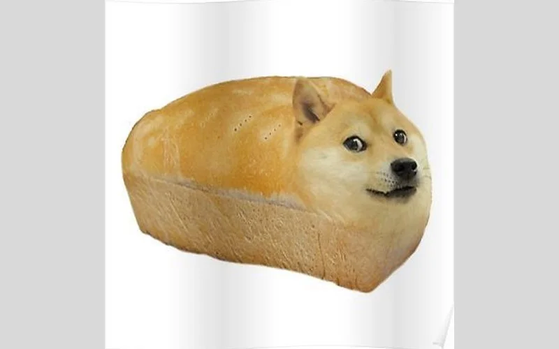 Meme con chó Shiba dạng bánh mì